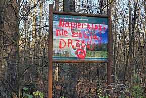 Apel do nadleśniczego Karczmy Borowej. Czy tak to powinno wyglądać?-80640