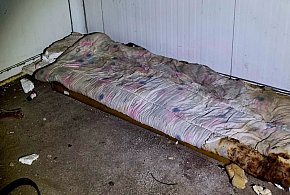 W schronisku dla bezdomnych w Lesznie szybko ubywa wolnych miejsc-80679