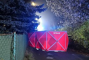 Kierowca auta zasłabł i wjechał w ogrodzenie. Zmarł mimo reanimacji-80715