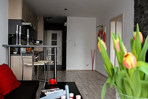 Rewolucja w wynajmie na doby. Nadchodzi koniec "wolnej amerykanki"-81074