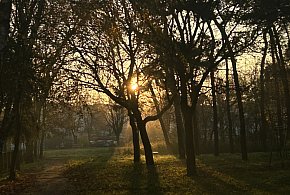 Nadchodzi najkrótszy dzień w 2025 roku. Sprawdź, kiedy przypadnie-81587