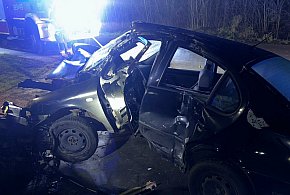 Wjechał w ogrodzenie posesji. Trafił do szpitala (zdjęcia)-81552