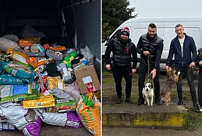 Imponujący finał zbiórki dla bezdomnych zwierzaków-81781