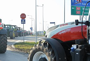 Rolnicy zapowiadają protest w całym kraju. Skala może zaskoczyć-81880