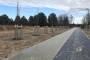 Noworoczny spacer nową ścieżką w Lesznie? Tak, tak, tak! (zdjęcia, film)-82045