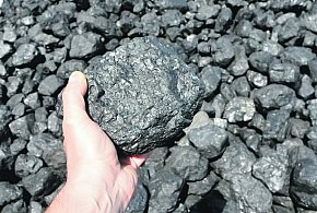 Zamówił opał, stracił pieniądze. Policja przestrzega przed oszustami-82372