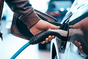 Coraz częściej dochodzi do takich kradzieży. Powody zaskakują-82589