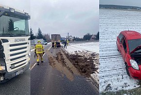 Mały, a narobił sporo zamieszania na drodze (zdjęcia)