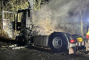 Spalił się ciągnik siodłowy, który wjechał w drzewo (zdjęcia, film)