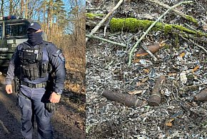 Pociski i proch znalezione w lesie. Dwie doby pilnowali ich policjanci (zdjęcia)