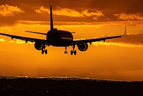 Gruzin deportowany za przestępstwa i wykroczenia. Już wrócił do swojego kraju