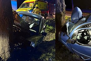 Dziewiętnastolatka wjechała autem w drzewo. Trafiła do szpitala (zdjęcia)