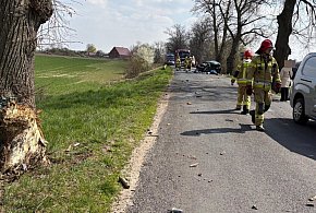 Policja ustala przyczyny wypadku w okolicach Witosławia (zdjęcia)