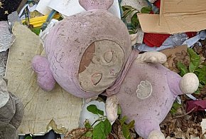 Podrzucił śmieci do lasu. Na mandacie się nie skończyło