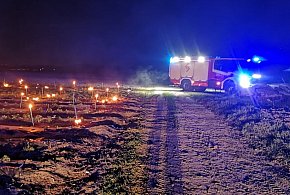 Pojechali do pożaru, a zastali ogrzewane truskawki (zdjęcia)