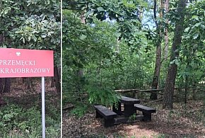 Nowe atrakcje w powiecie leszczyńskim: wieża widokowa, kładka i szlak