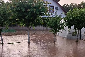 Drzewo przygniotło 15-latka. Prąd śmiertelnie poraził konia (zdjęcia)