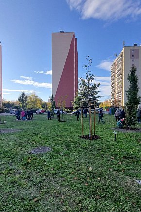 Sadzenie drzew w Parku Grody Leszczyńskie-11443