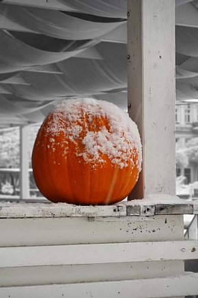 Zima w Lesznie, 26 listopada 2025-11616