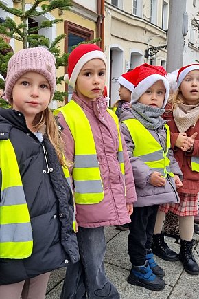 Przedszkolaki ustroiły choinki na Rynku w Rydzynie-11728