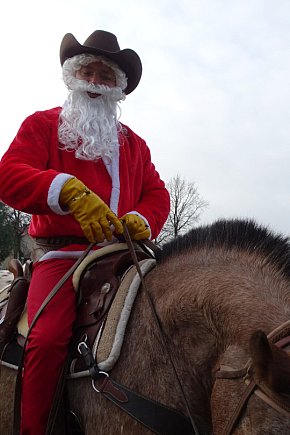 Jarmark świąteczny w Wilkowicach 2025-11730