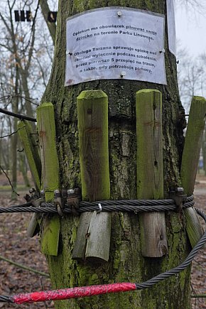 Park linowy Tarzan w MiniZoo w Lesznie-11809