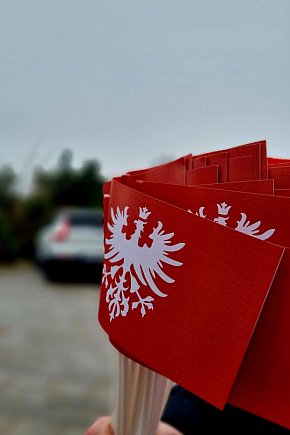 107. rocznica Powstania Wielkopolskiego w gminie Rydzyna-11818