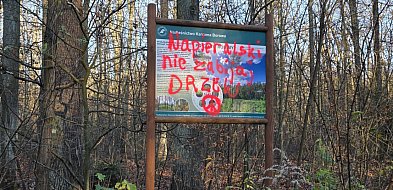Apel do nadleśniczego Karczmy Borowej. Czy tak to powinno wyglądać?-80640