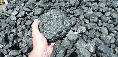 Zamówił opał, stracił pieniądze. Policja przestrzega przed oszustami-82372