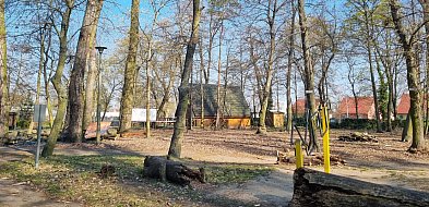 Tak wygląda koniec Tarzana w Parku 1000-lecia (zdjęcia)