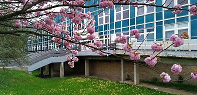 Co dalej z odzwiedzinami pacjentów w szpitalu w Lesznie?