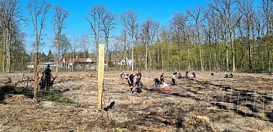 Zakasali rękawy i wspólnie zrobili coś dobrego (zdjęcia, film)