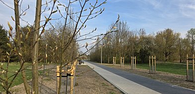 Seniorów z Leszna zapraszamy na spacer. Pogoda, atmosfera i ... gwarantowane!