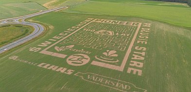 W polu kukurydzy powstał labirynt. Piloci Antidotum AirShow będą go... (zdjęcia)