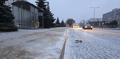 Szkoły w Lesznie odwołują zajęcia. Autobusy mają spóżnienia