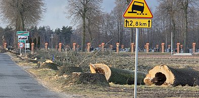 Wycinka zakończona. Pod piłę trafiło ponad 300 drzew (zdjęcia)