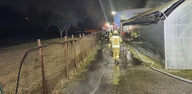 Pożar w kotłowni w ogrodnictwie. W akcji 7 zastępów straży (zdjęcia, film)
