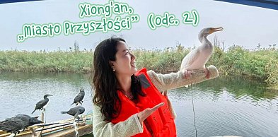 „Miasto Przyszłości” wybudowane od podstaw (cz.2)