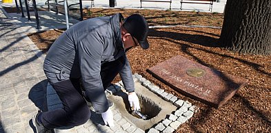 Kapsuła czasu ponownie spoczęła pod dębem na Rynku w Osiecznej (zdjęcia)