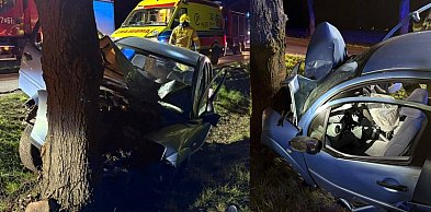 Dziewiętnastolatka wjechała autem w drzewo. Trafiła do szpitala (zdjęcia)