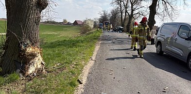 Policja ustala przyczyny wypadku w okolicach Witosławia (zdjęcia)