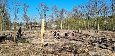 Zakasali rękawy i wspólnie zrobili coś dobrego (zdjęcia, film)