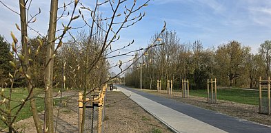 Seniorów z Leszna zapraszamy na spacer. Pogoda, atmosfera i ... gwarantowane!