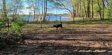 W Boszkowie powstaje plaża dla wczasowiczów z psami (zdjęcia)