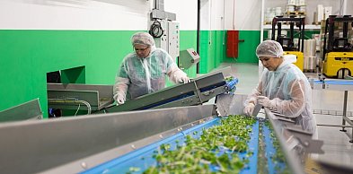 Nowoczesne rozwiązania dla zakładów przetwórstwa spożywczego – na co zwrócić uwagę