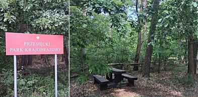 Nowe atrakcje w powiecie leszczyńskim: wieża widokowa, kładka i szlak