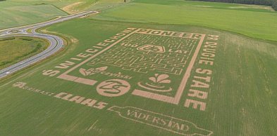 W polu kukurydzy powstał labirynt. Piloci Antidotum AirShow będą go... (zdjęcia)