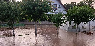 Drzewo przygniotło 15-latka. Prąd śmiertelnie poraził konia (zdjęcia)