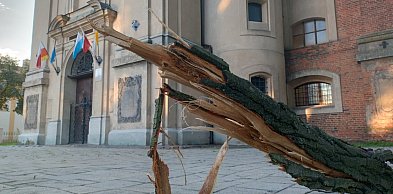 Wichura złamała potężny konar przy kościele Świętego Krzyża (zdjęcia)