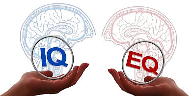Dlaczego inteligencja emocjonalna to klucz do sukcesu zawodowego?-77154